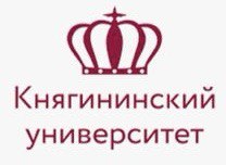 Нижегородский государственный инженерно-экономический университет